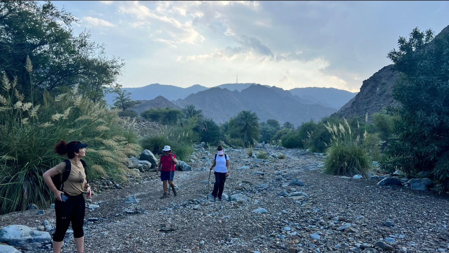 Unveiling the Mysteries of Hayl Castle: A Journey Through Time