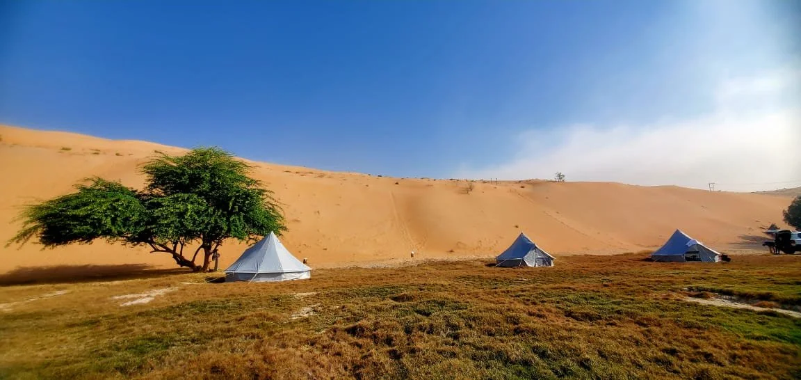 Liwa Glamping Tents.jpeg