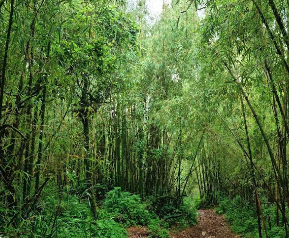 Screenshot 2026-04-21 at 8.21.55 AM.png