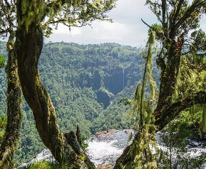 Screenshot 2026-04-21 at 8.22.02 AM.png