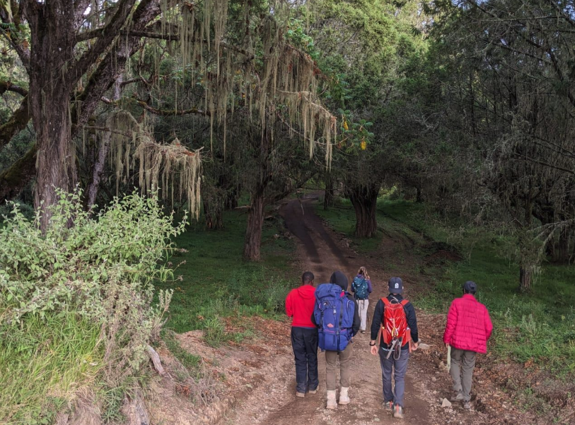 Screenshot 2026-04-21 at 8.23.38 AM.png