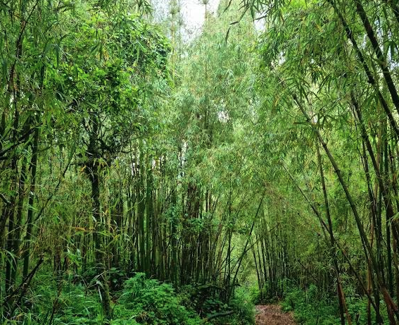 Screenshot 2026-04-21 at 8.32.59 AM.png