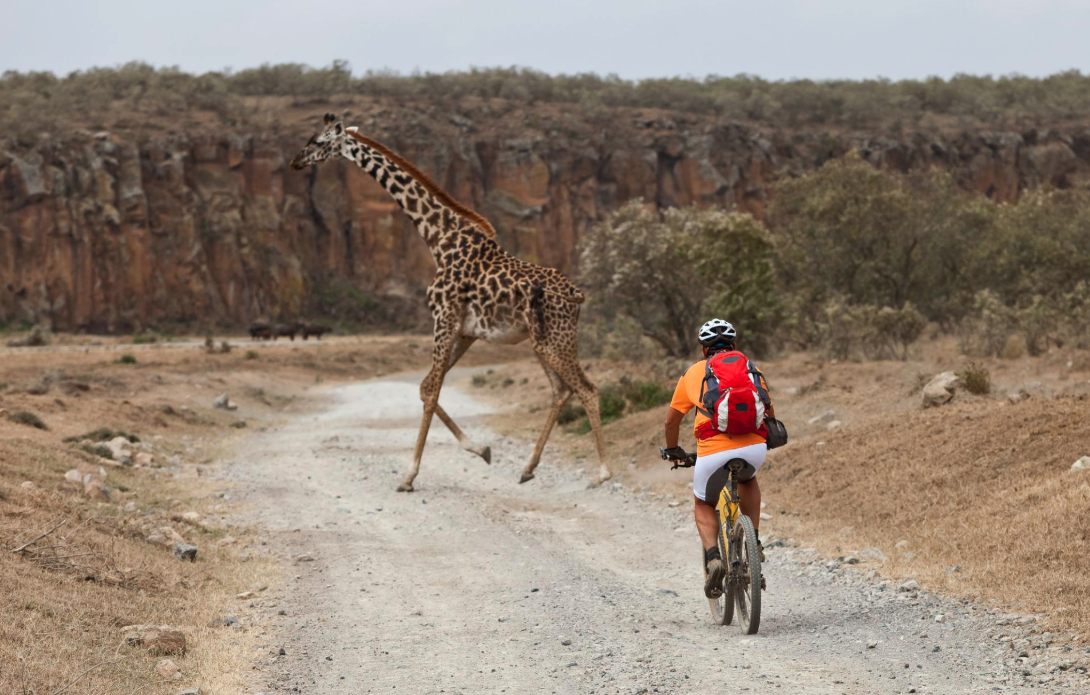 Screenshot 2026-04-21 at 8.34.14 AM.png