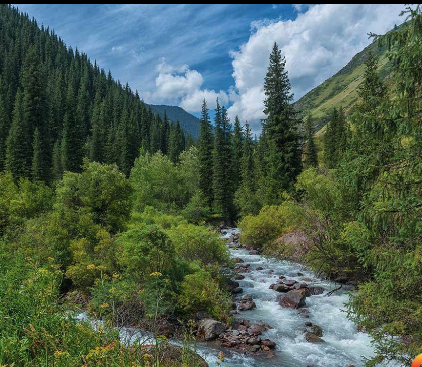 Screenshot 2026-04-22 at 12.01.20 PM.png