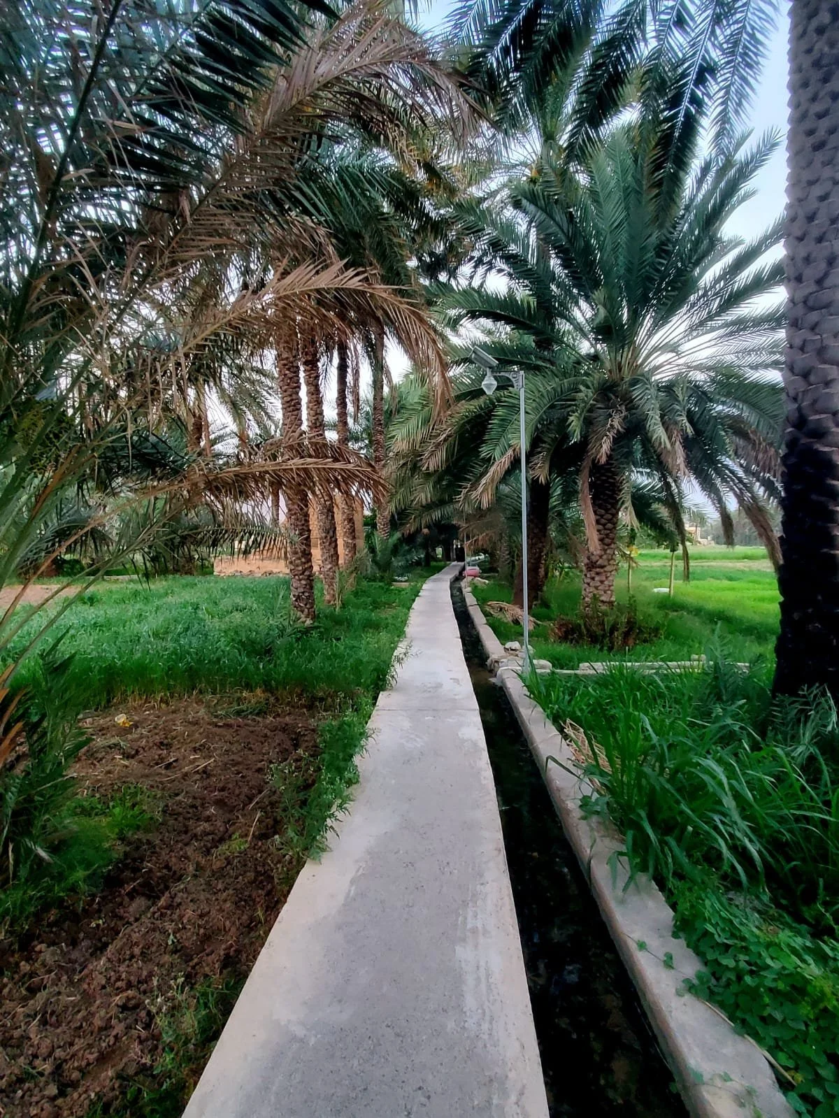Falaj System