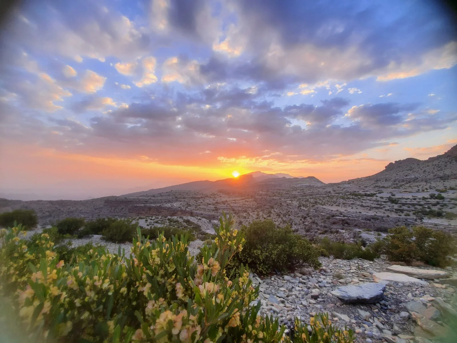 Hoota Hike- The Sunrise