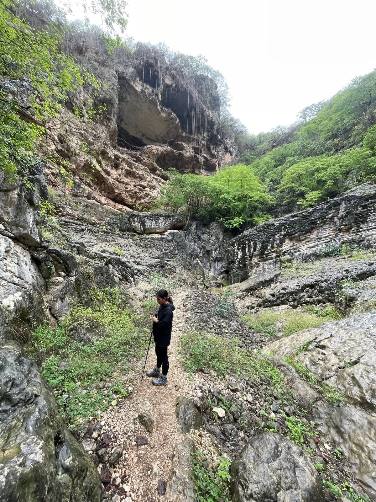 OMAN: Salalah Monsoon Season