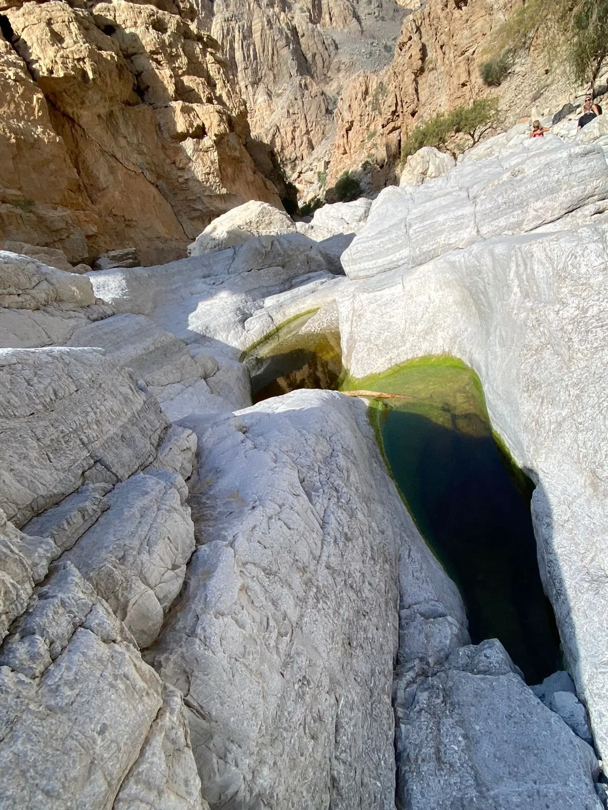 wadi-koob-with-uae-trekkers-76.jpg