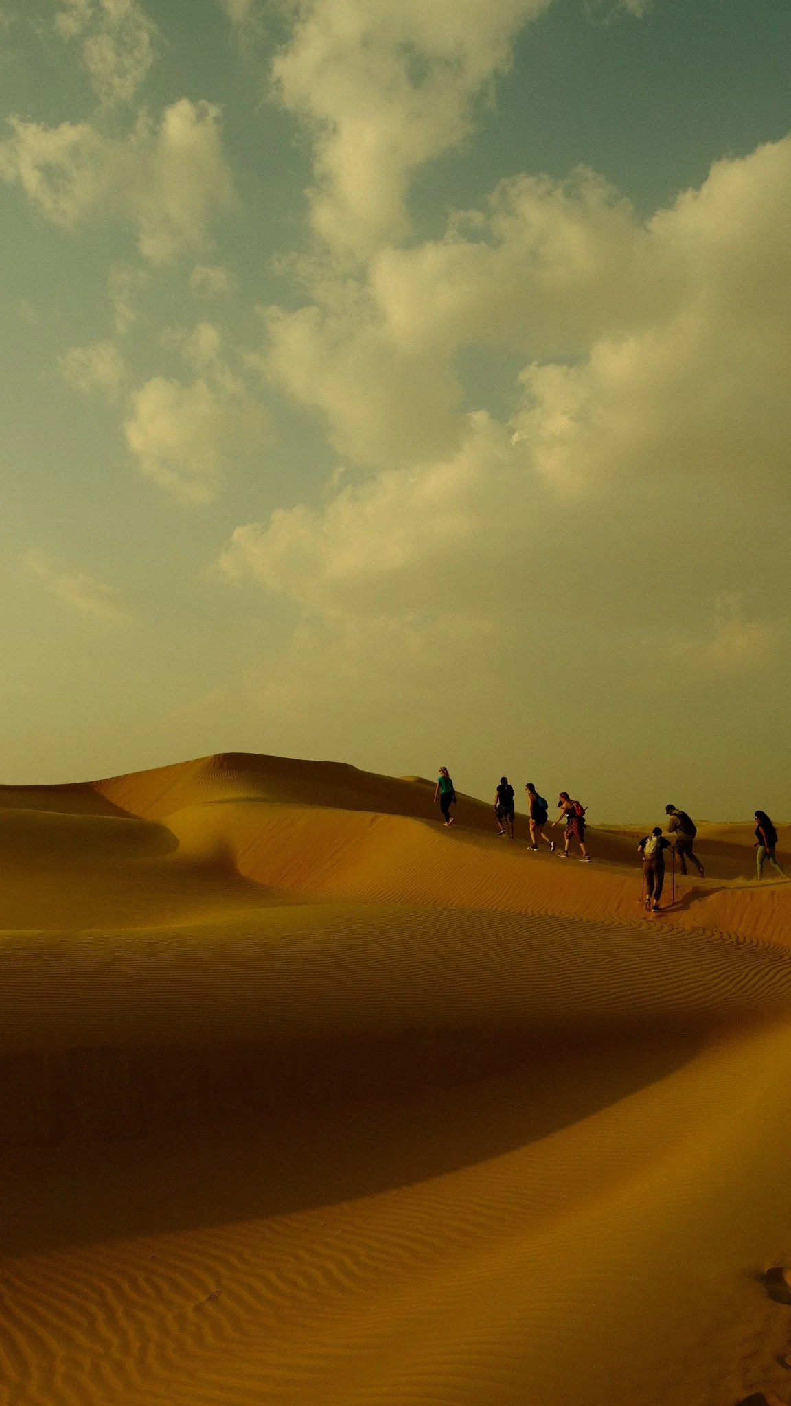 Gone to the Dogs at Discover Liwa; Weekend with the Furry Ones