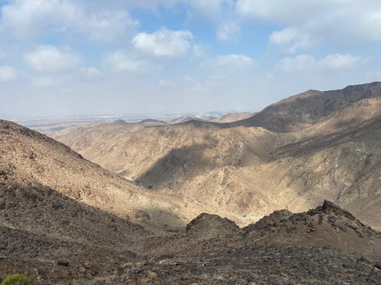 Showka Start Here Mountain.jpeg