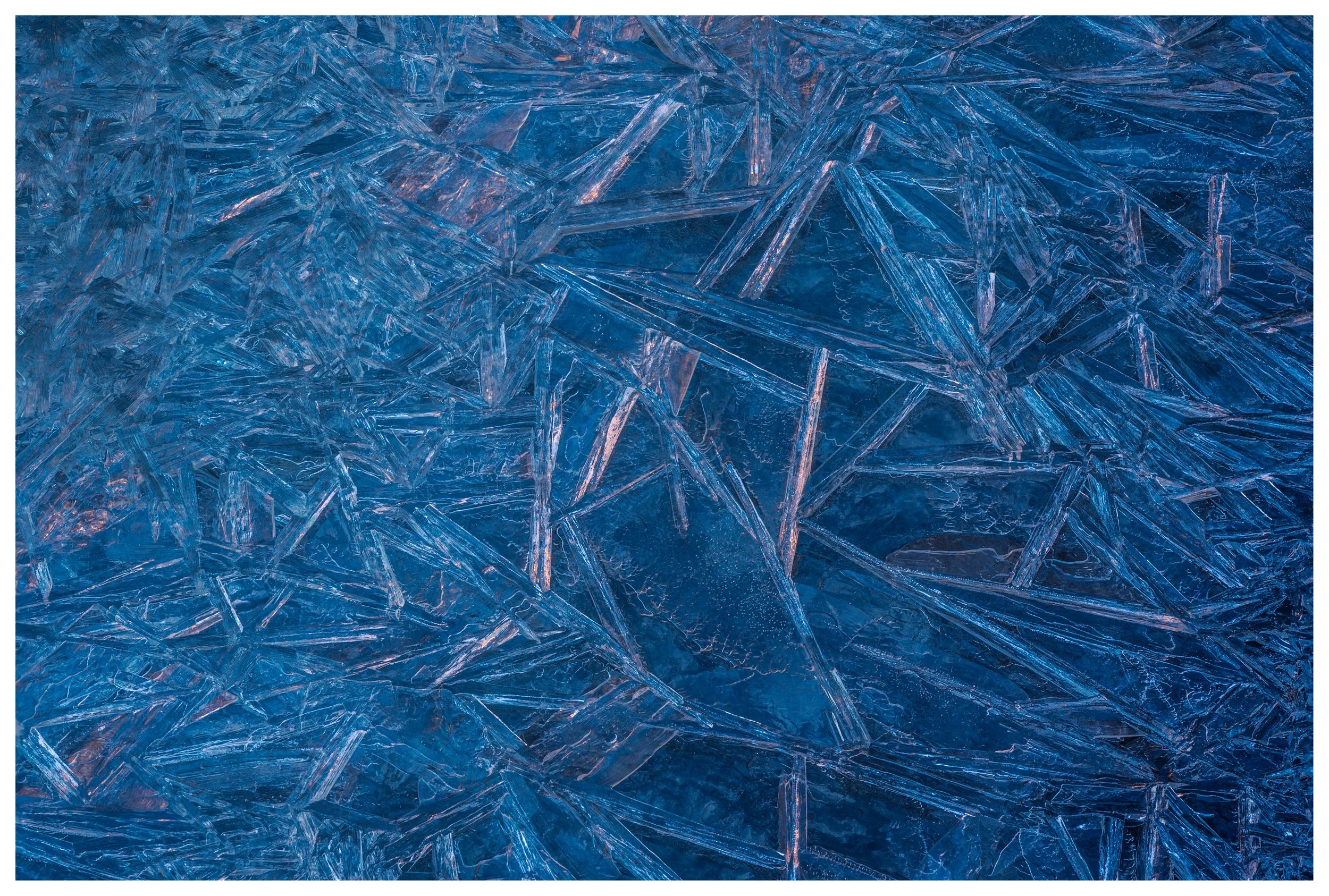 Pretty In Pink
Utah, 2025