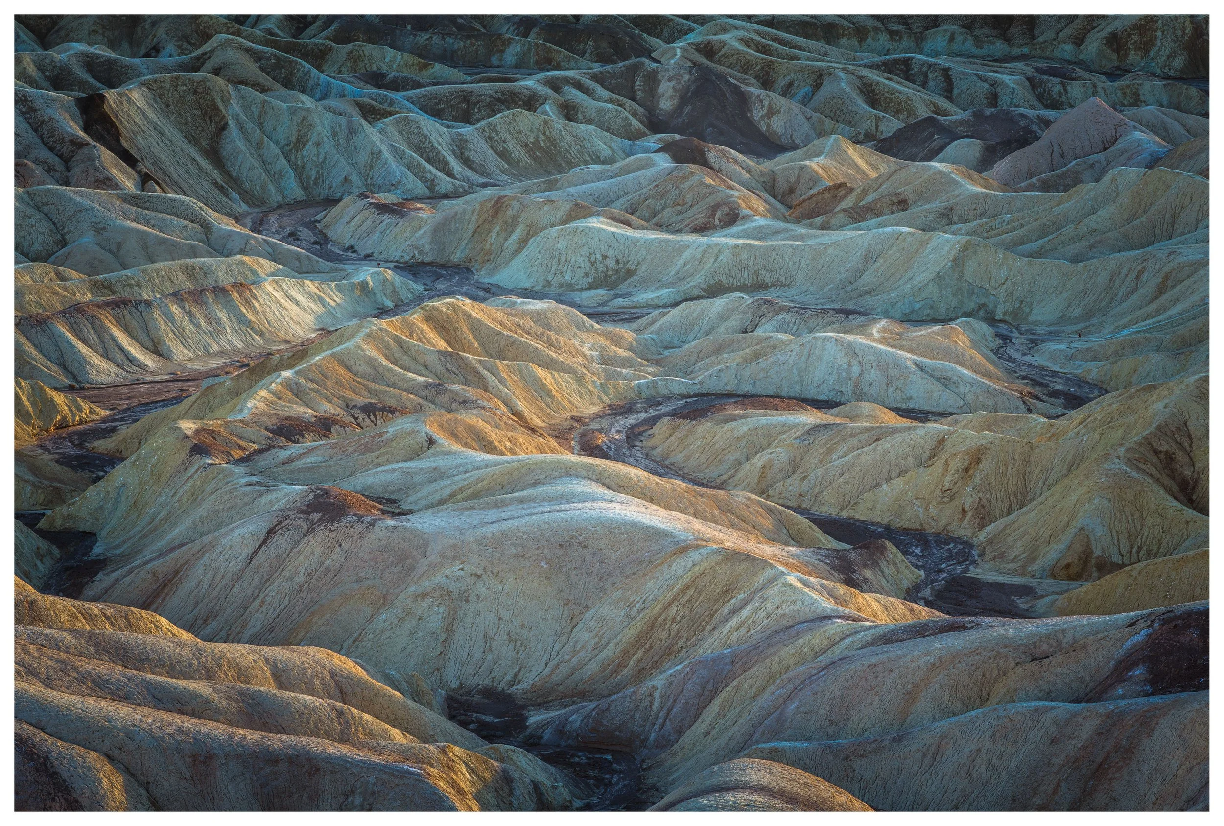 Predictable
Death Valley, 2025