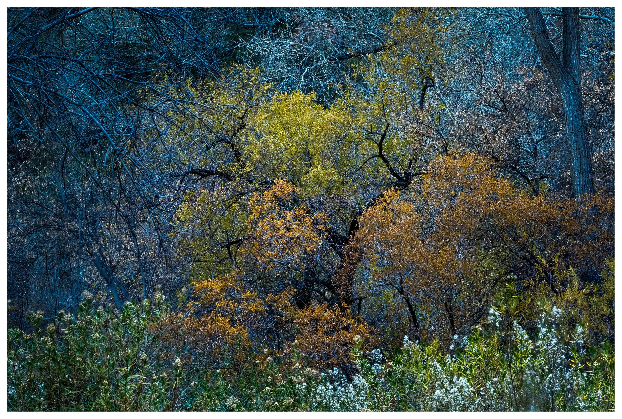 Zion Surprise
Utah, 2025