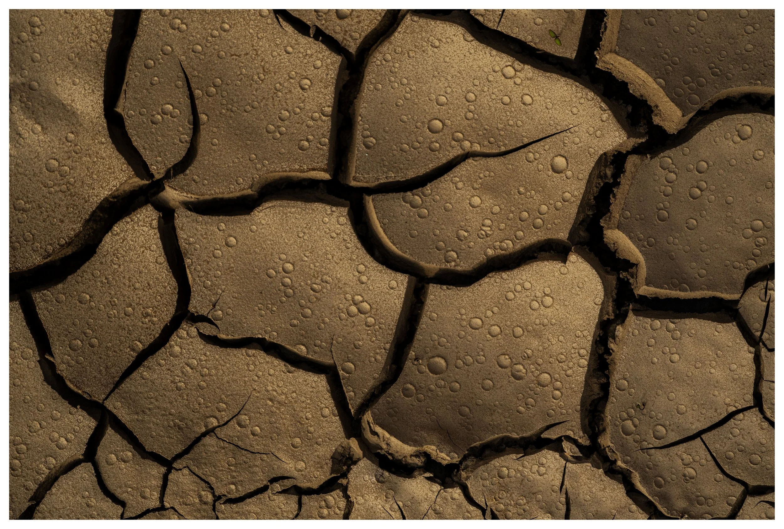 Circle of Life
Death Valley, 2025