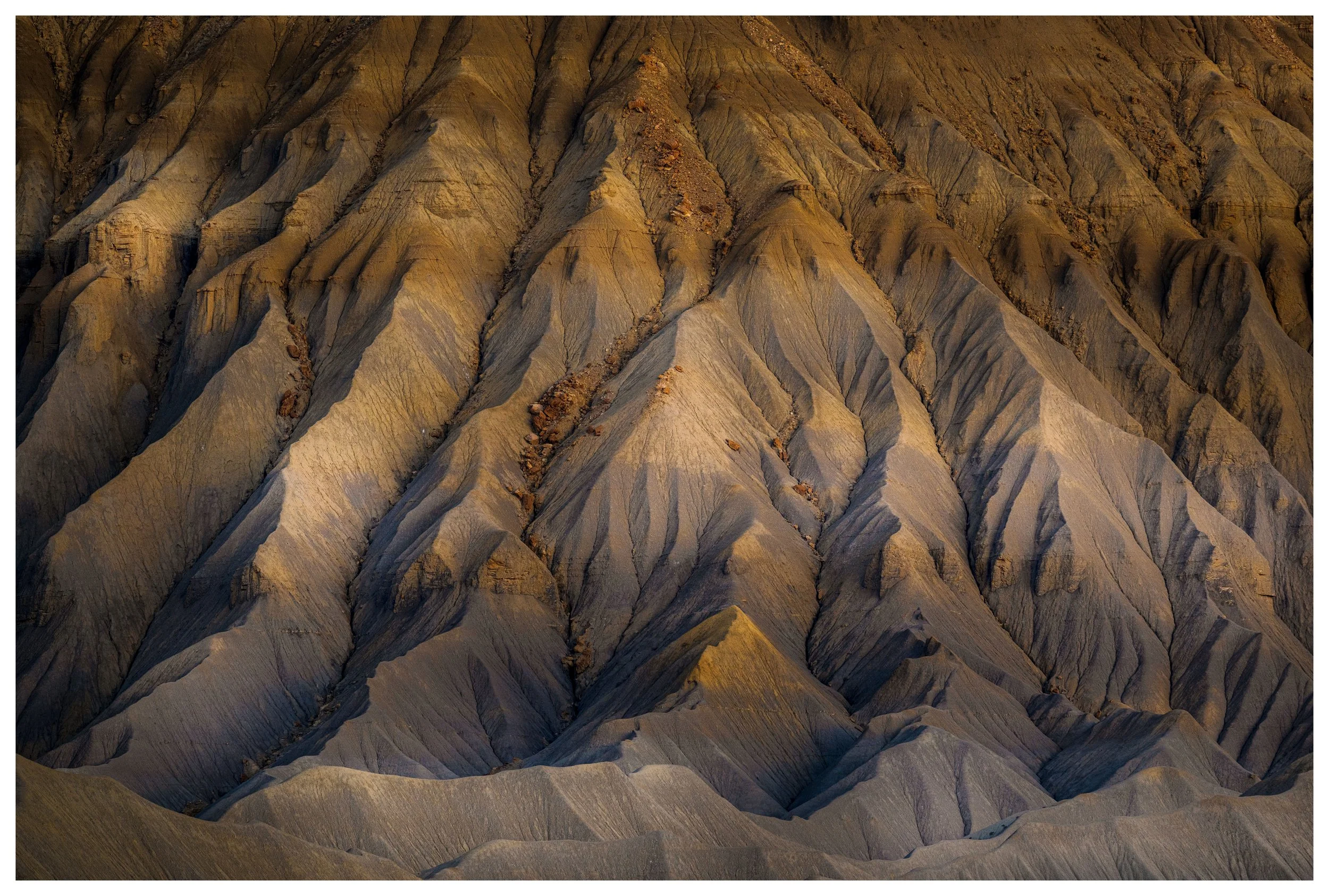 The Silent Witness
Capitol Reef National Park, 2025