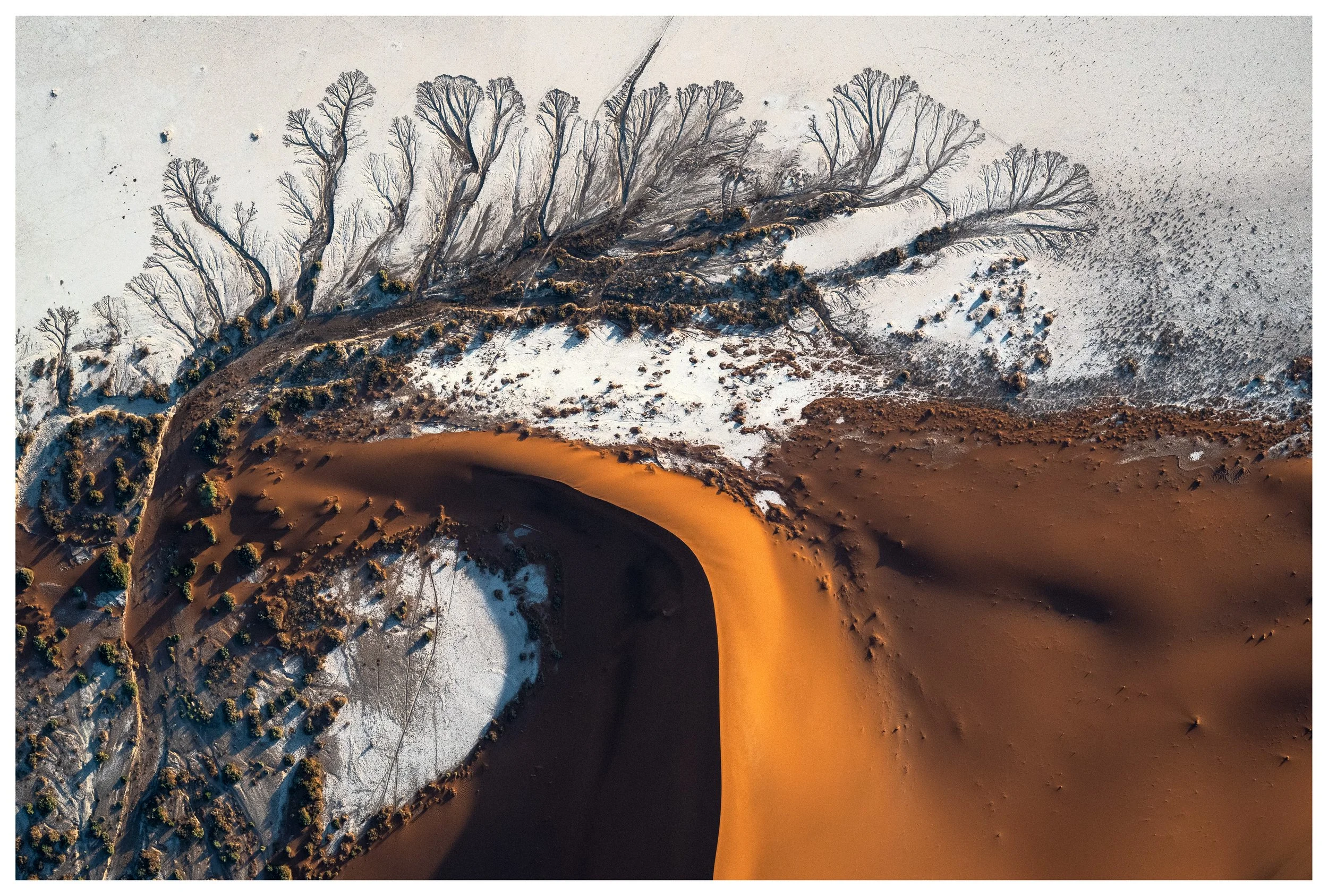 Hard Left
Namibia, 2024