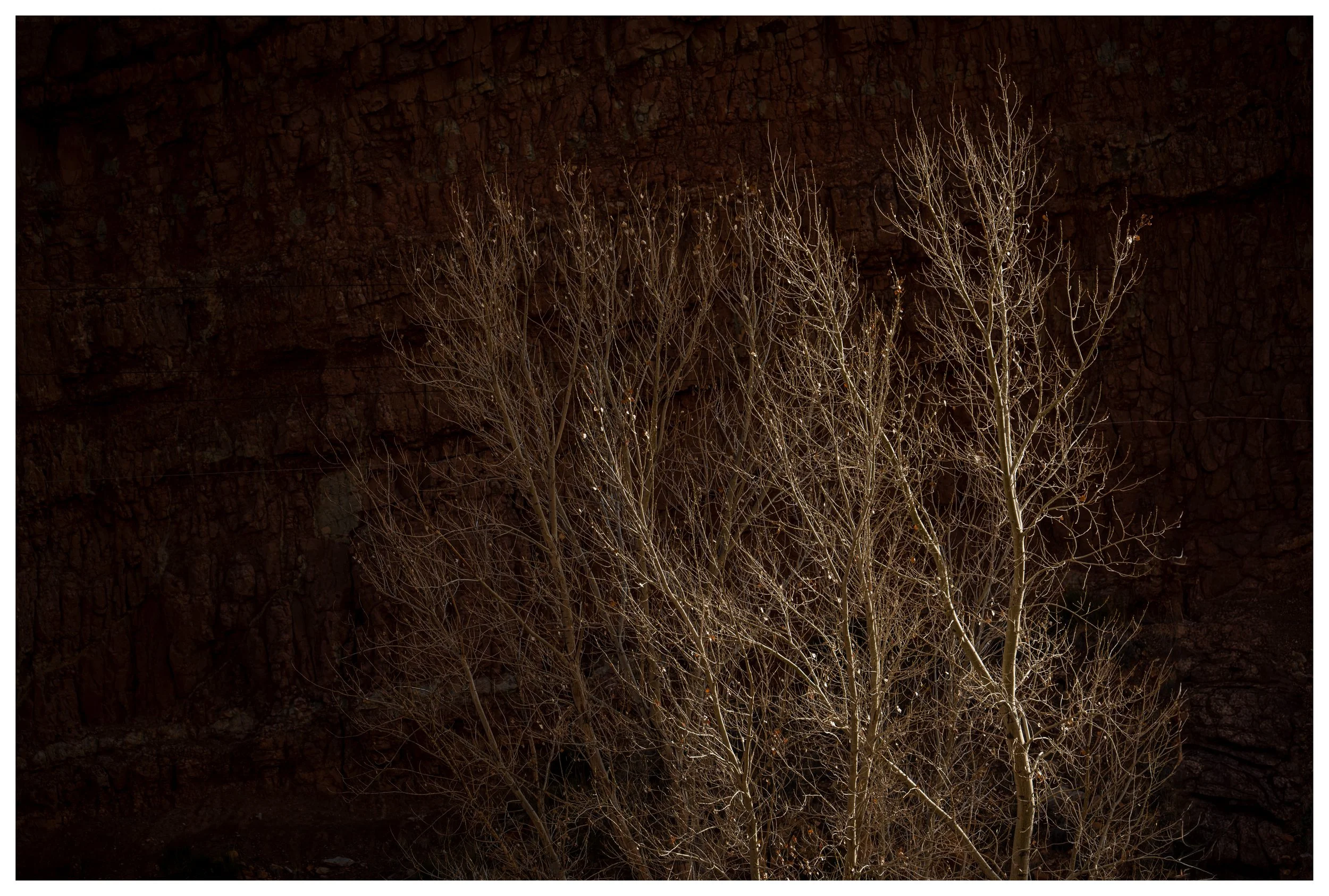 A Tale Of Dark and Light
Utah, 2025