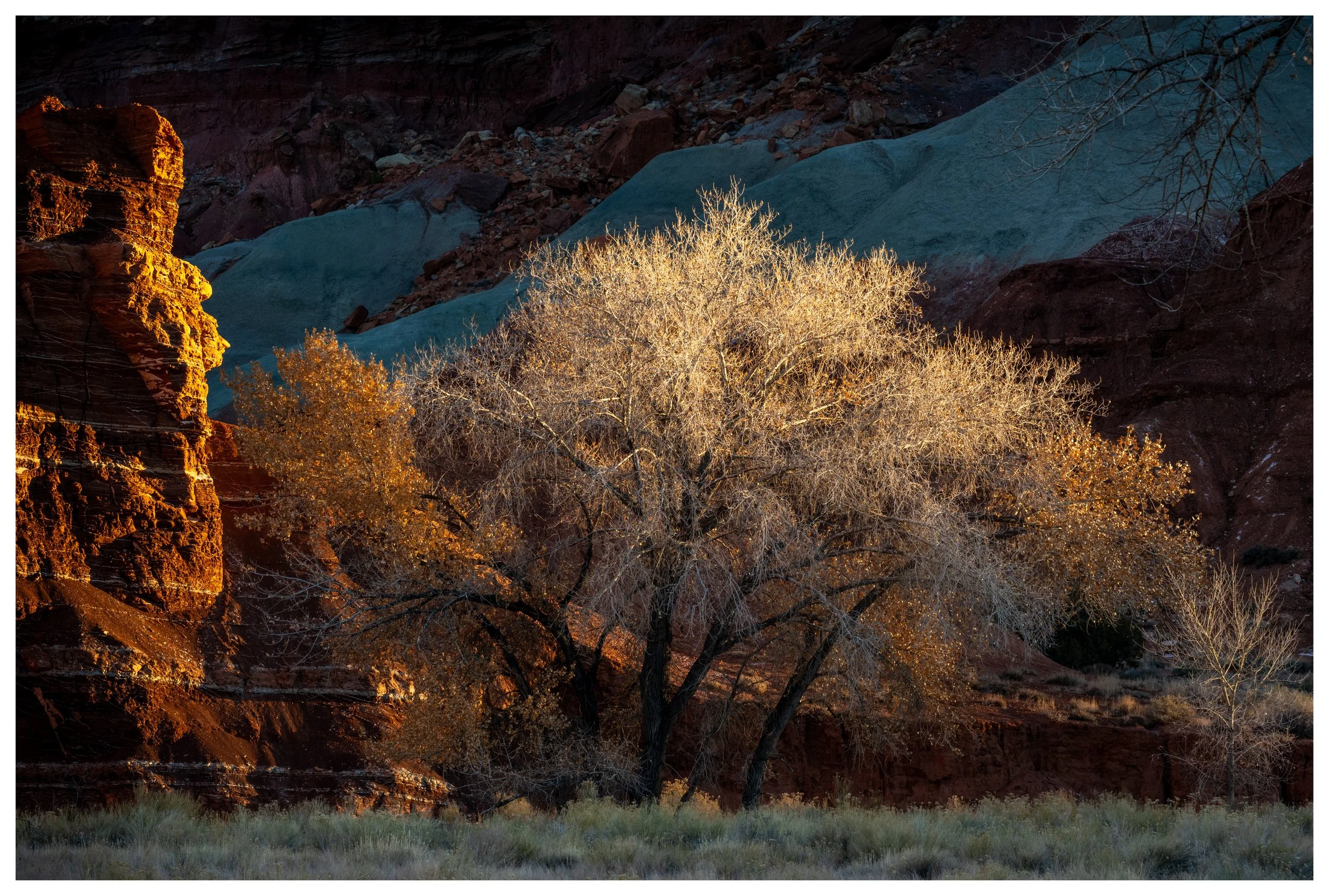 Golden Reef
Utah, 2025