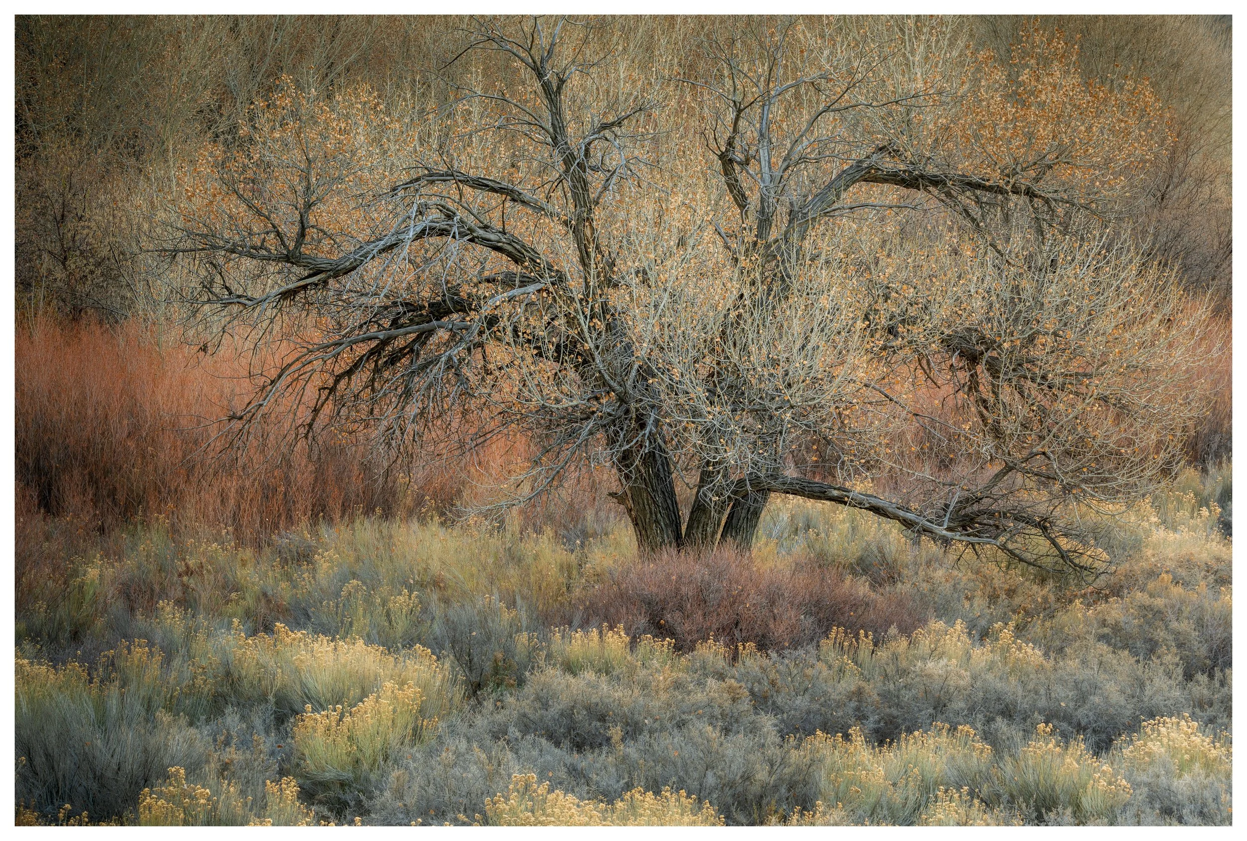 Subconscious
Utah, 2025