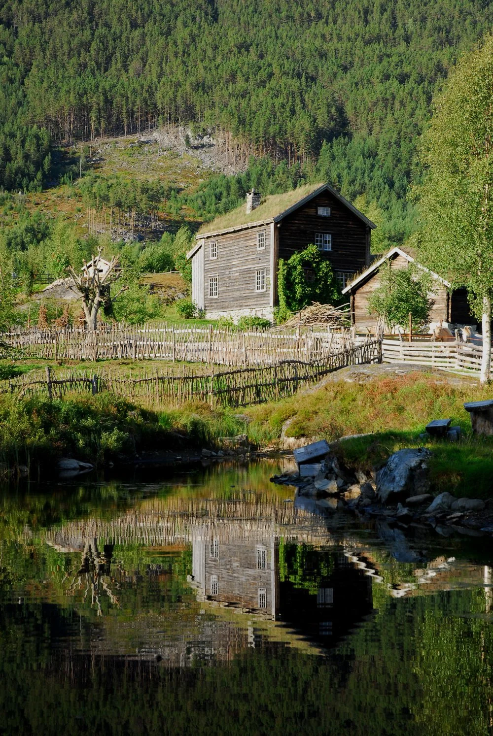 Heibergske samlinger