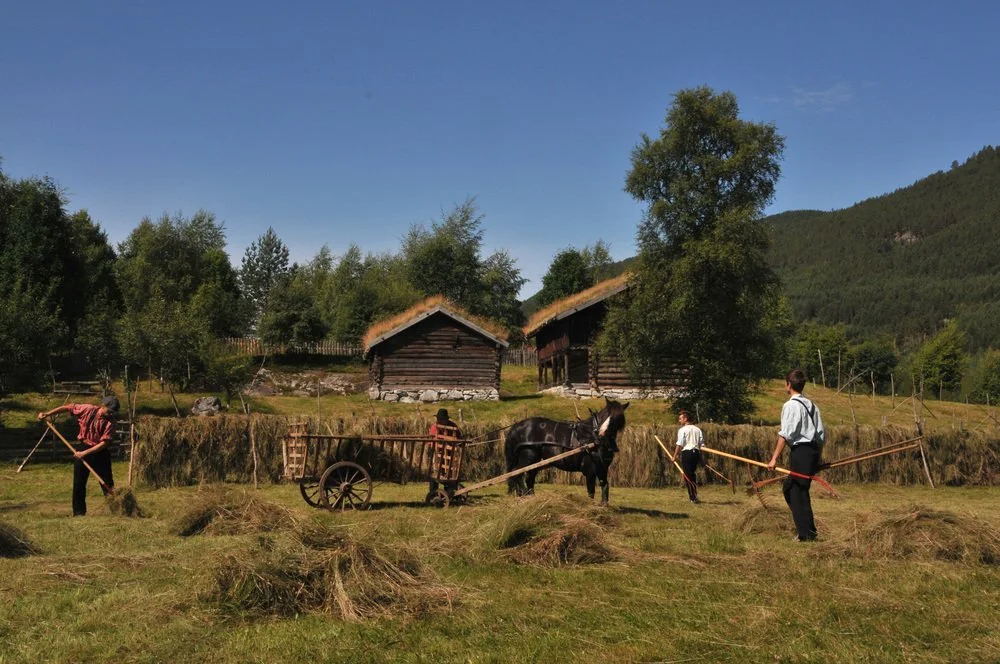 Heibergske samlinger