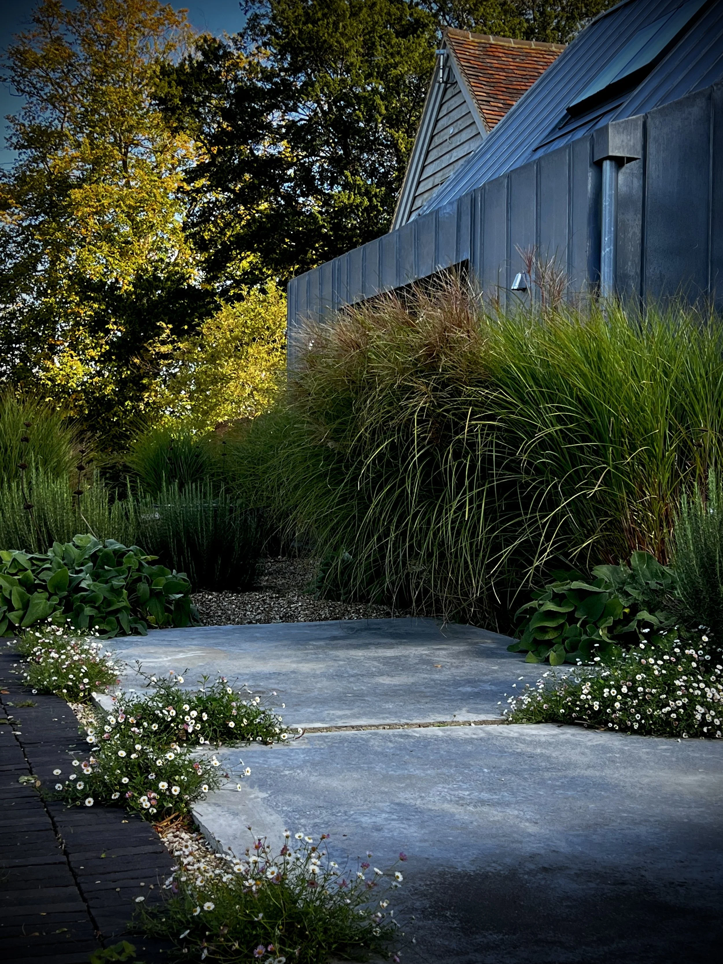 Modernist Garden  I  Oxfordshire
