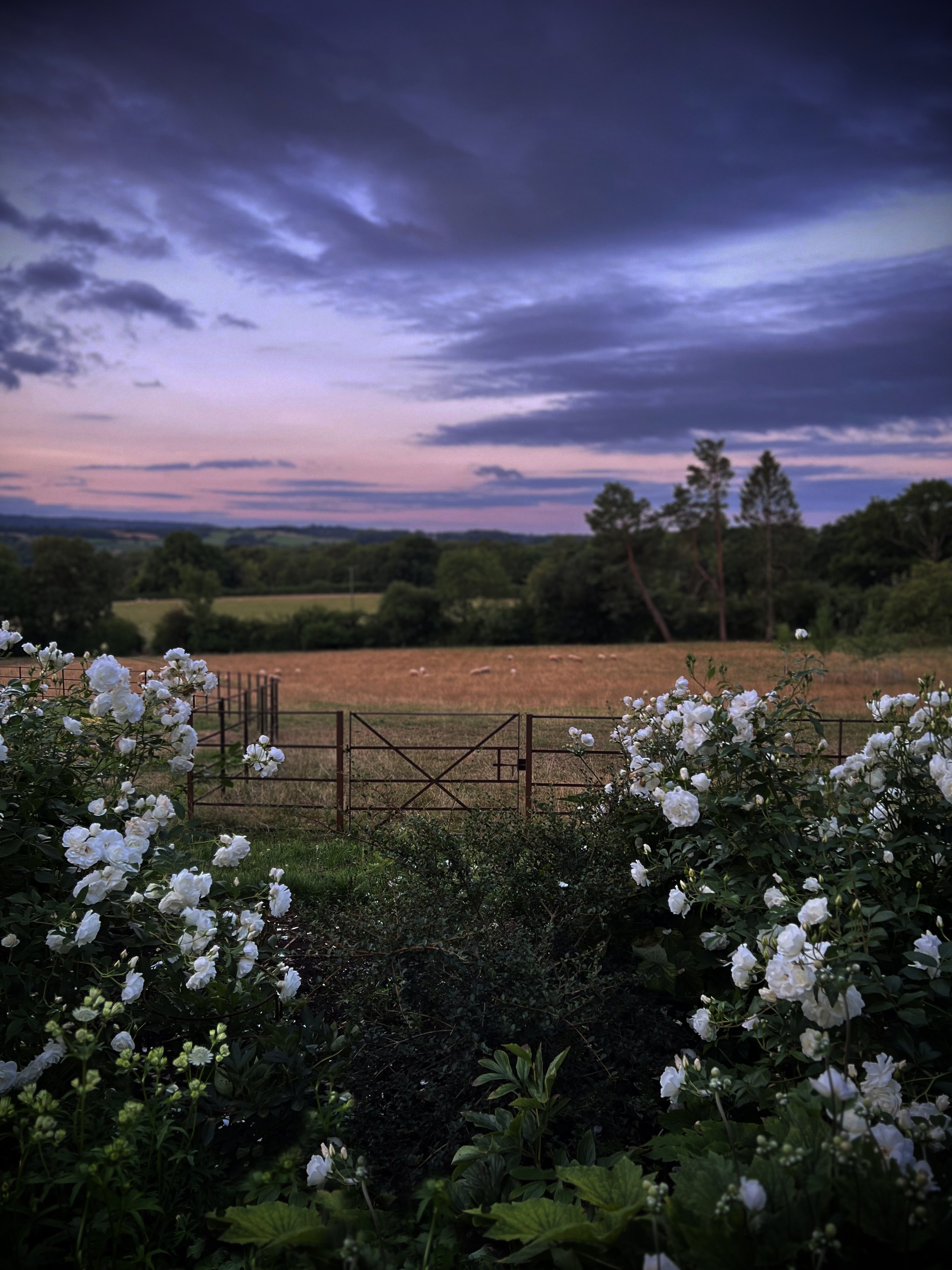 Garden Continuum  I  Somerset 