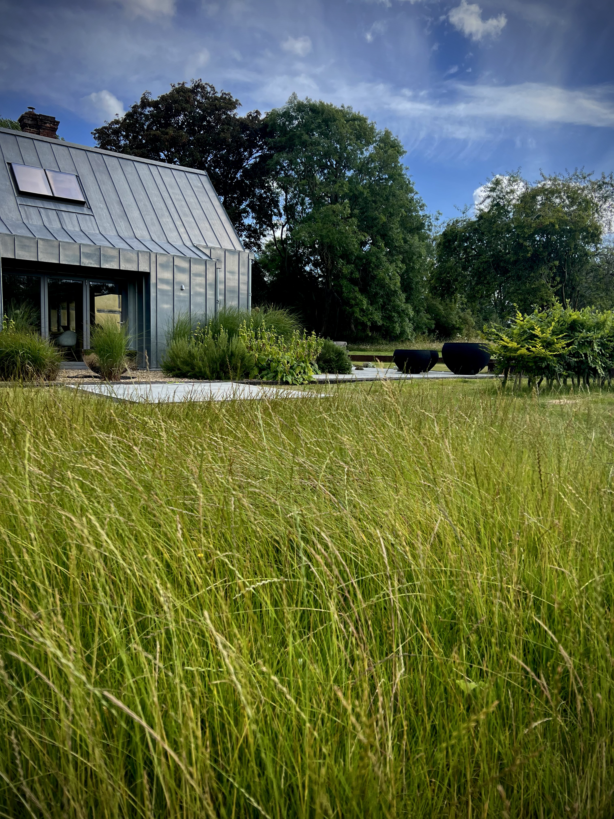 Measured Wildness  I  Oxfordshire