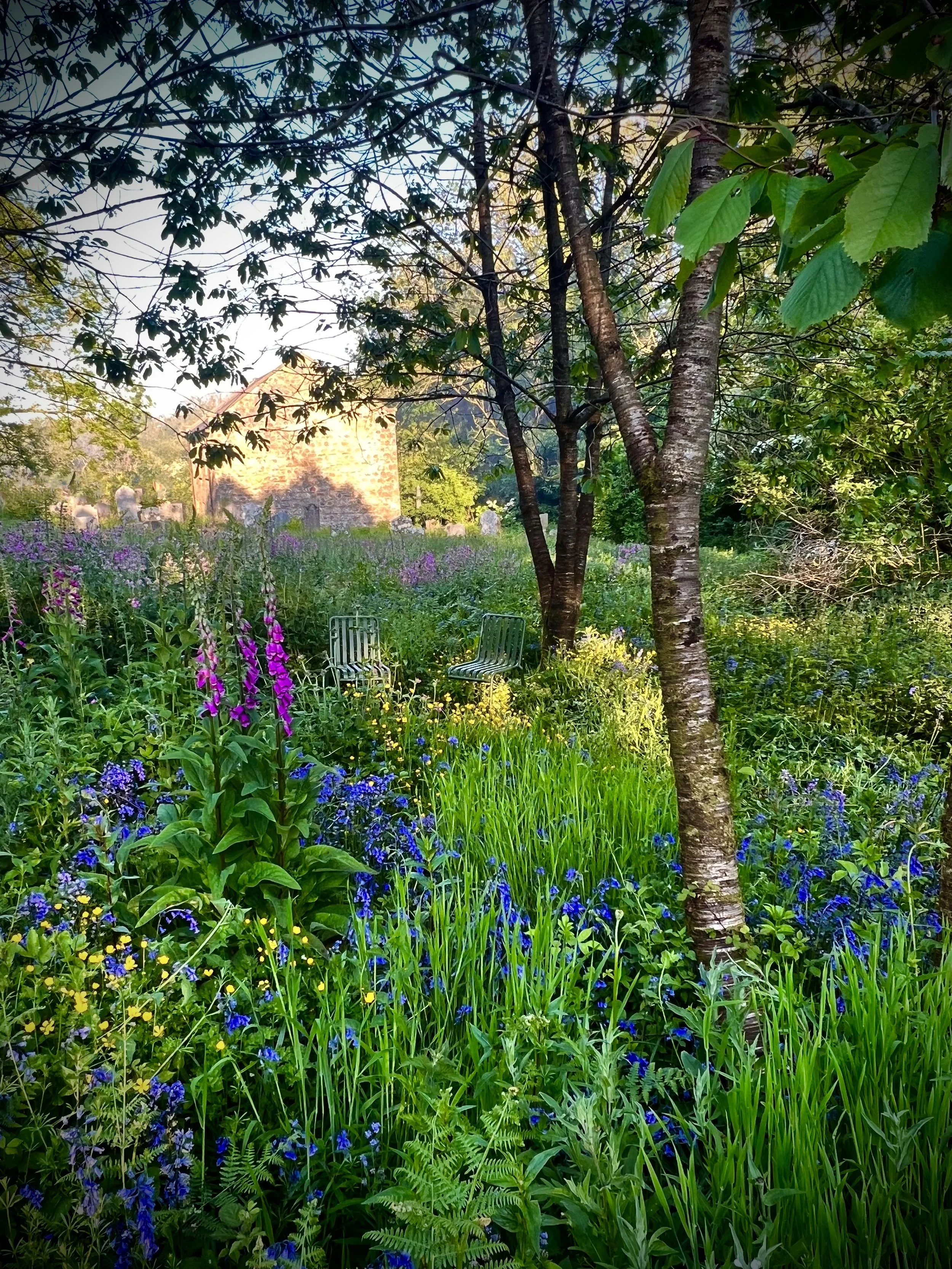 Gathering Garden  I  Pembrokeshire 