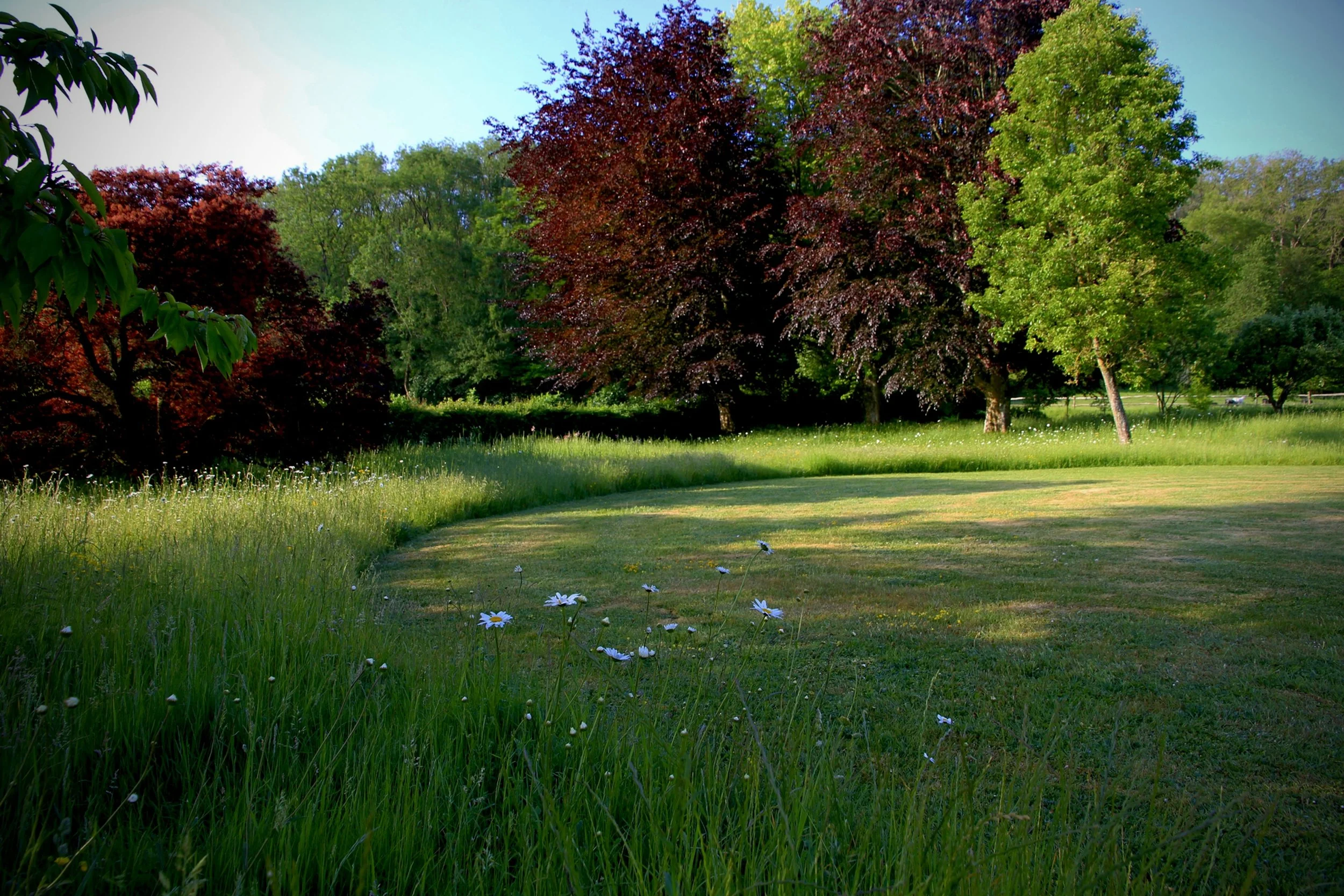 Gathering Garden  I  Sussex