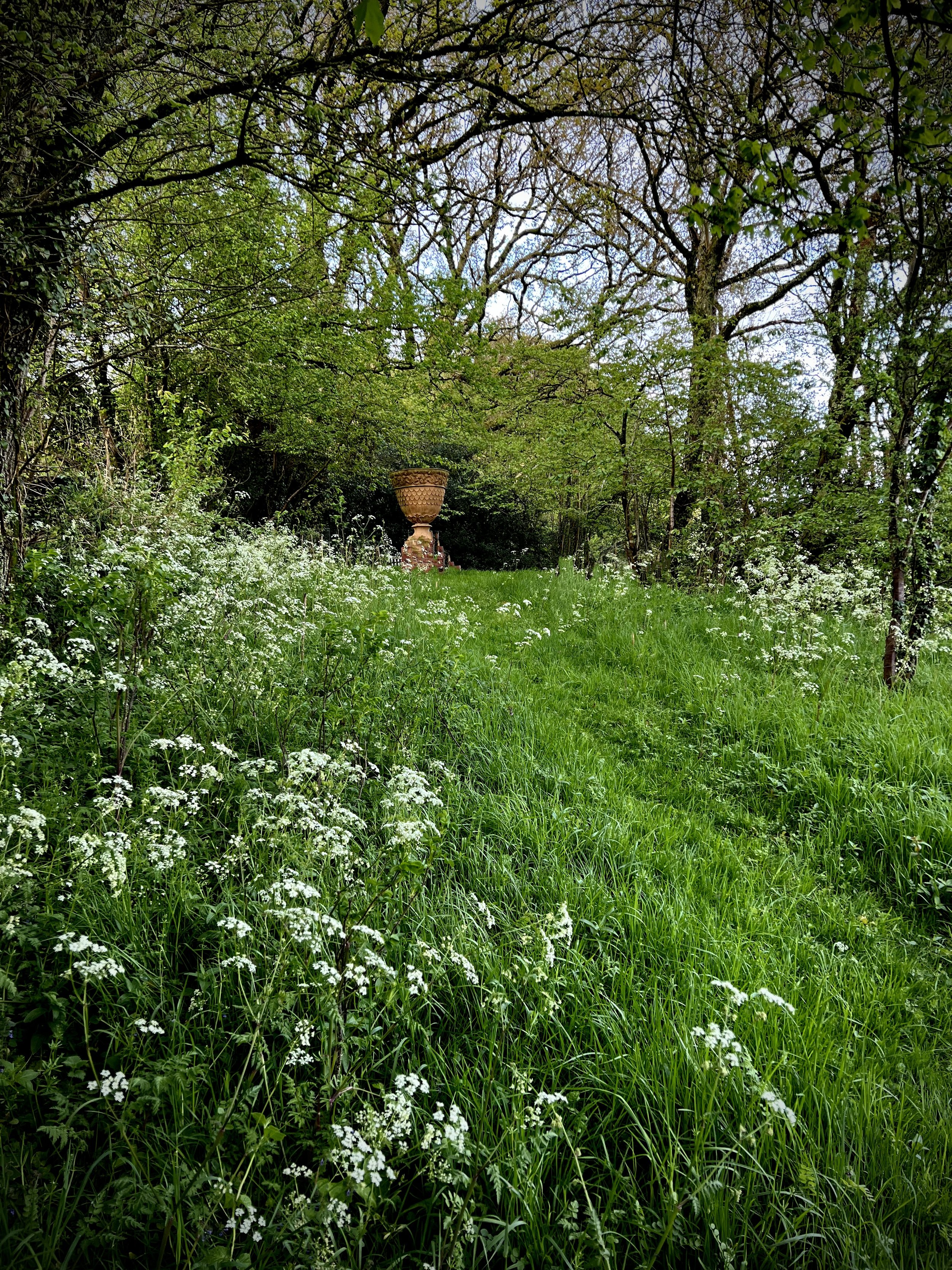 Wild Structure  I  Somerset