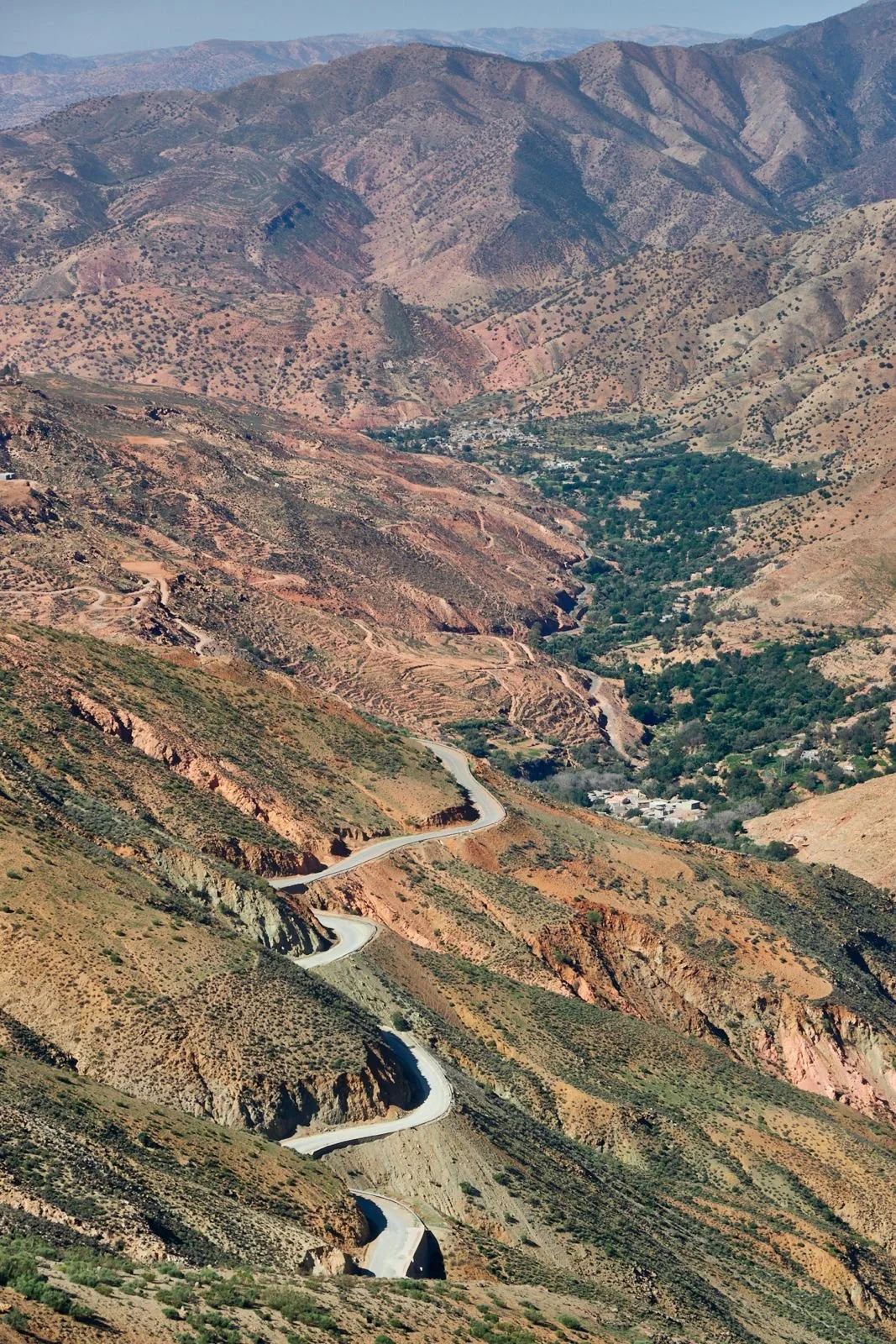 WhatsApp Image 2025-11-29 at 21.10.33.jpeg