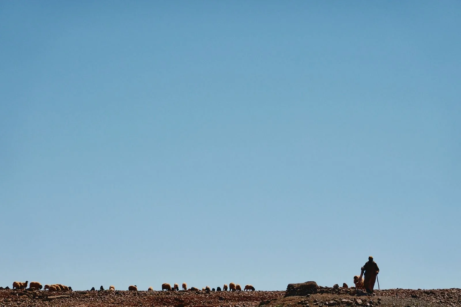 WhatsApp Image 2025-11-29 at 21.06.04 (1).jpeg