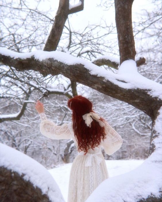 AButterfly In The Blizzard