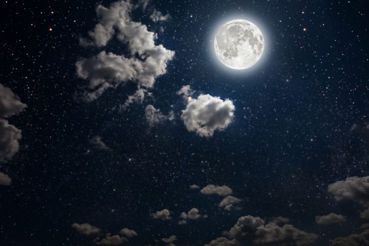 All of the stars.