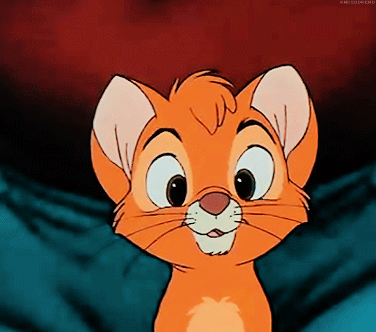 tumblr_57d1ccb68ecd51e9ea7cf8b0240ac396_0a042c7a_540.gif