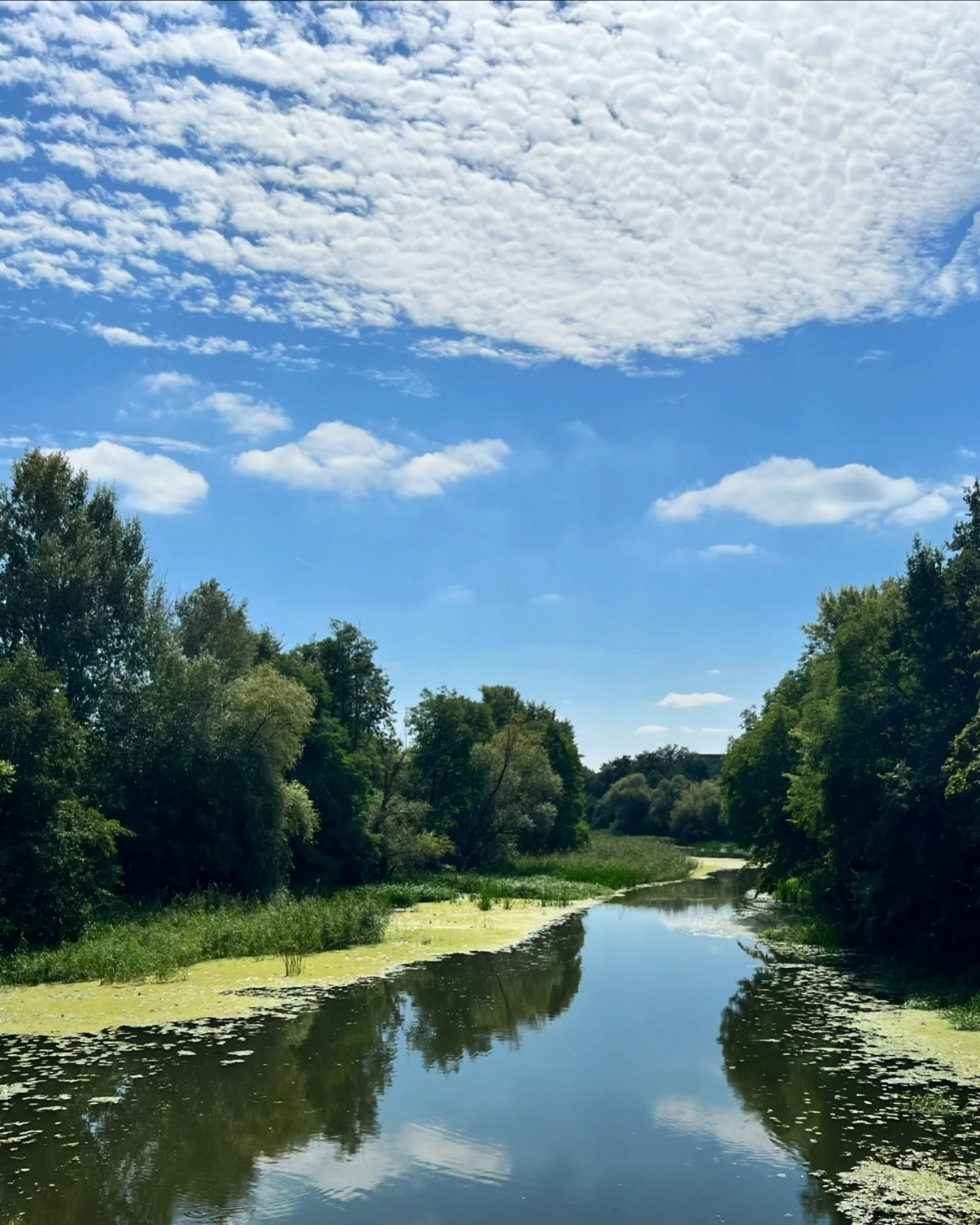 Glorious day!

#holidays #holiday #summervibes #wroclaw #learningtosaygoodbye #musica #musiclover #recordingstudio #recording #producer #audioengineer