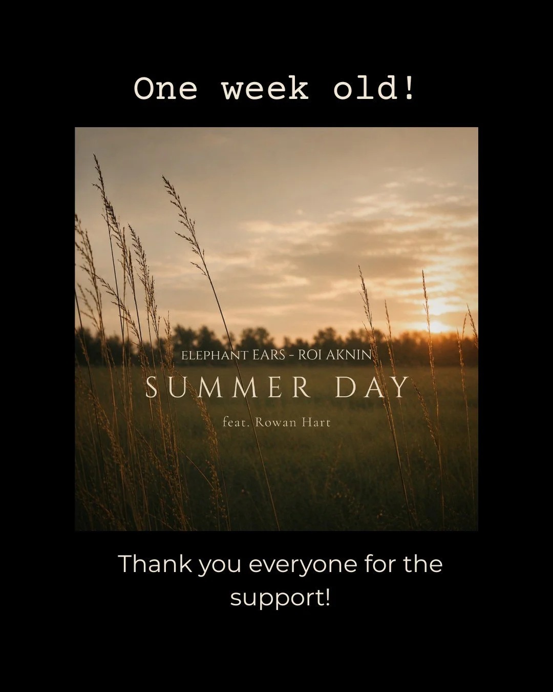 One week since Summer Day was released. ☀️❤️

A little chart moment today, alongside all the wonderful reviews, radio plays, messages and comments the song has received this week. Things like these make all the work that goes into creating and releas