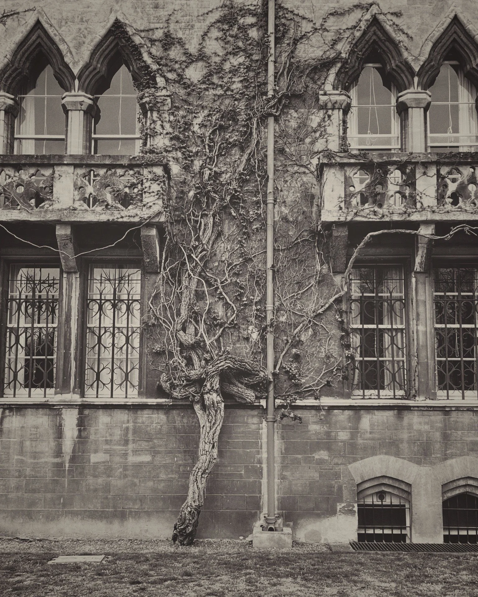 #EnglishHeritage #ArchitecturePhotography #RootsAndHistory  #Oxford #OxfordUK  #MusicProducer #ProducersLife #StudioLife #Songwriter #IndependentArtist #UKMusic #ElephantEars