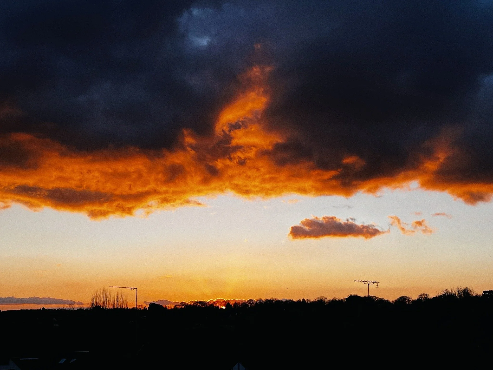 #FridayVibes #EndOfTheWeek #StudioLife #SunsetMood #DarkClouds #ElephantEars