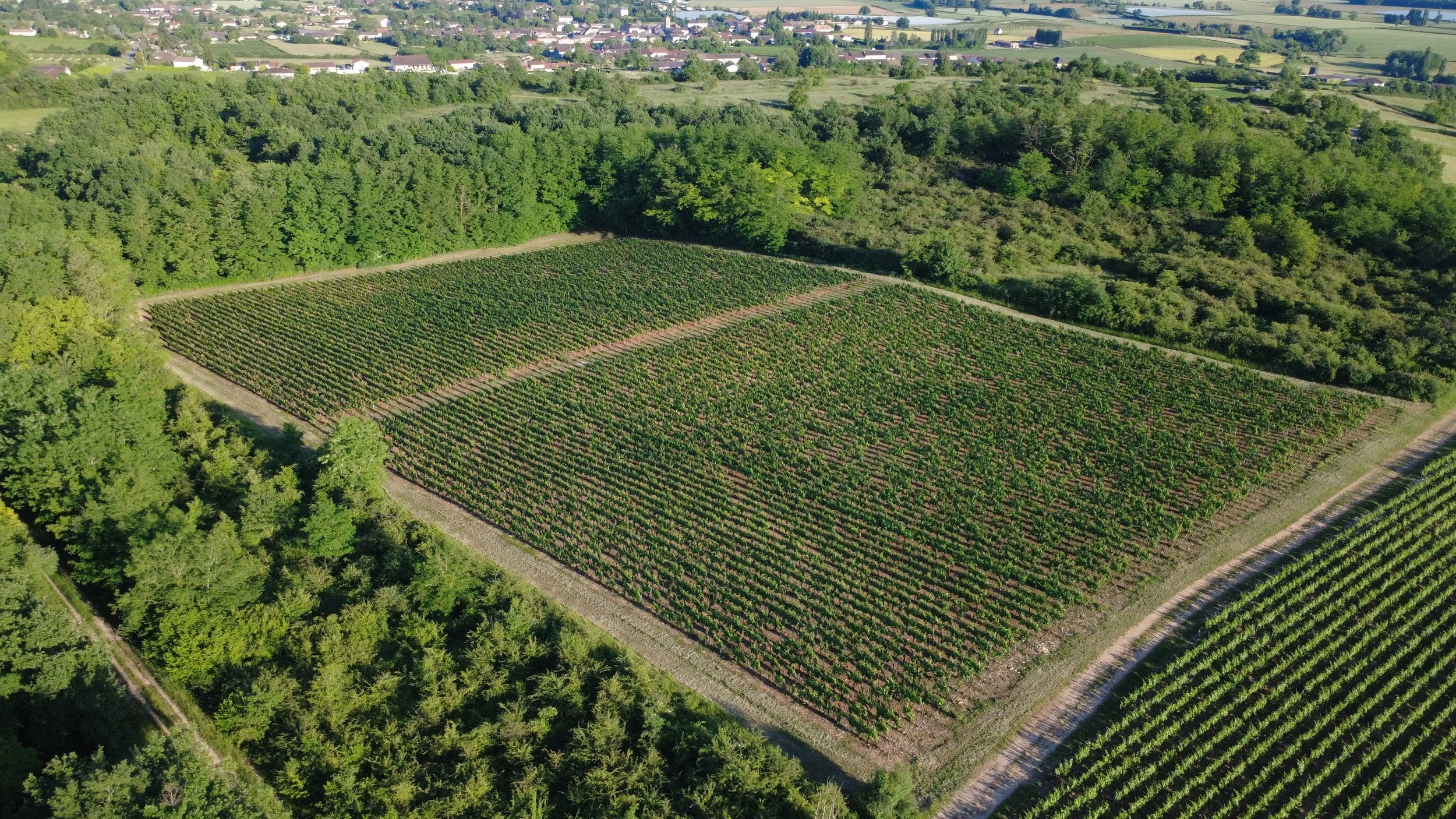 DJI_0189.JPG