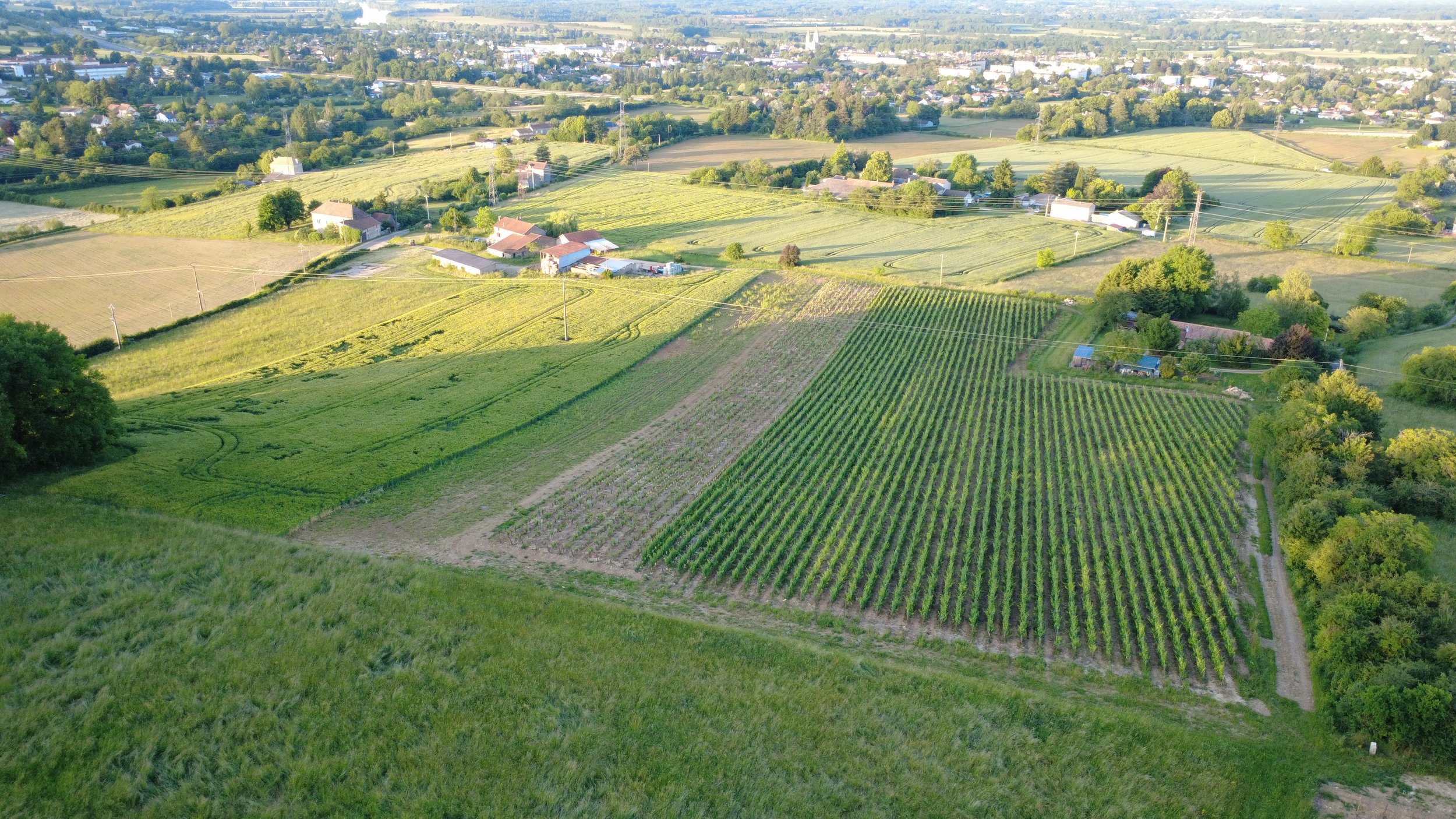 DJI_0223.JPG