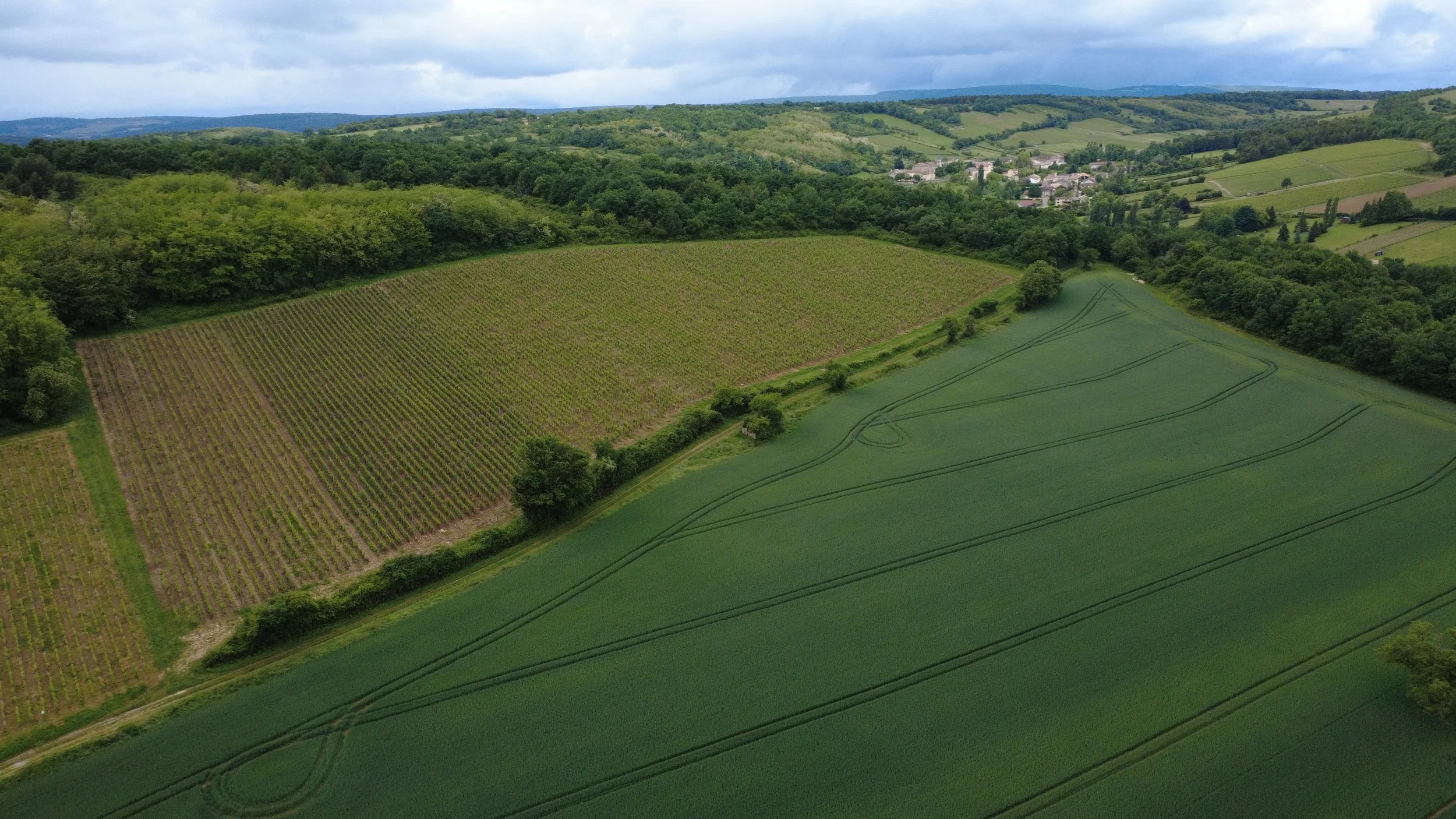DJI_0179.JPG