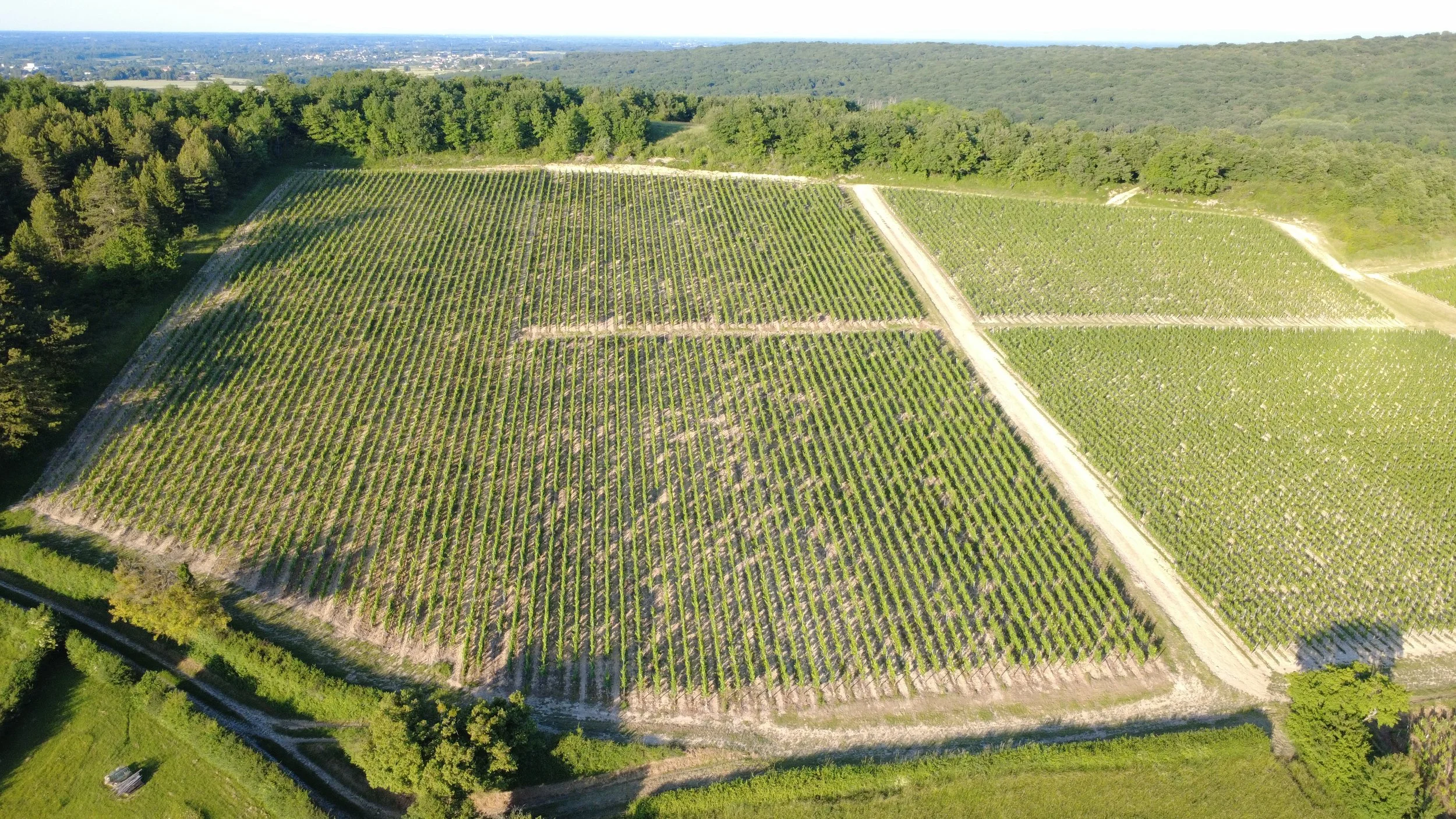 DJI_0197.JPG