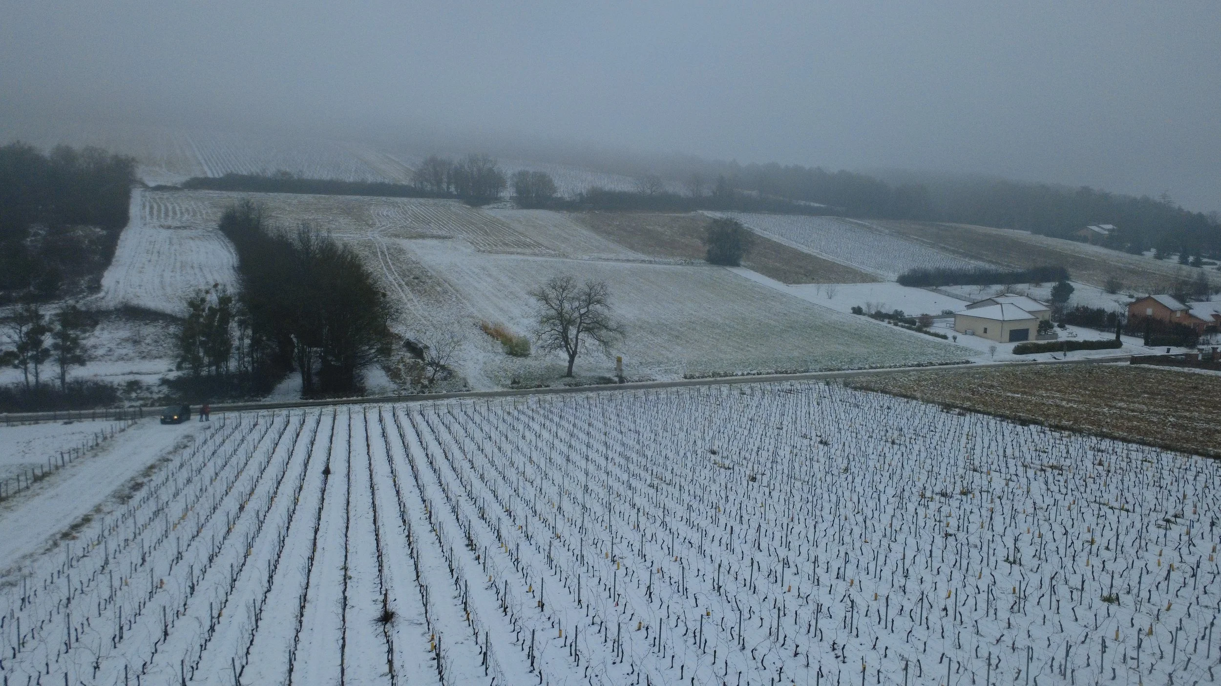 La Garde sous la neige