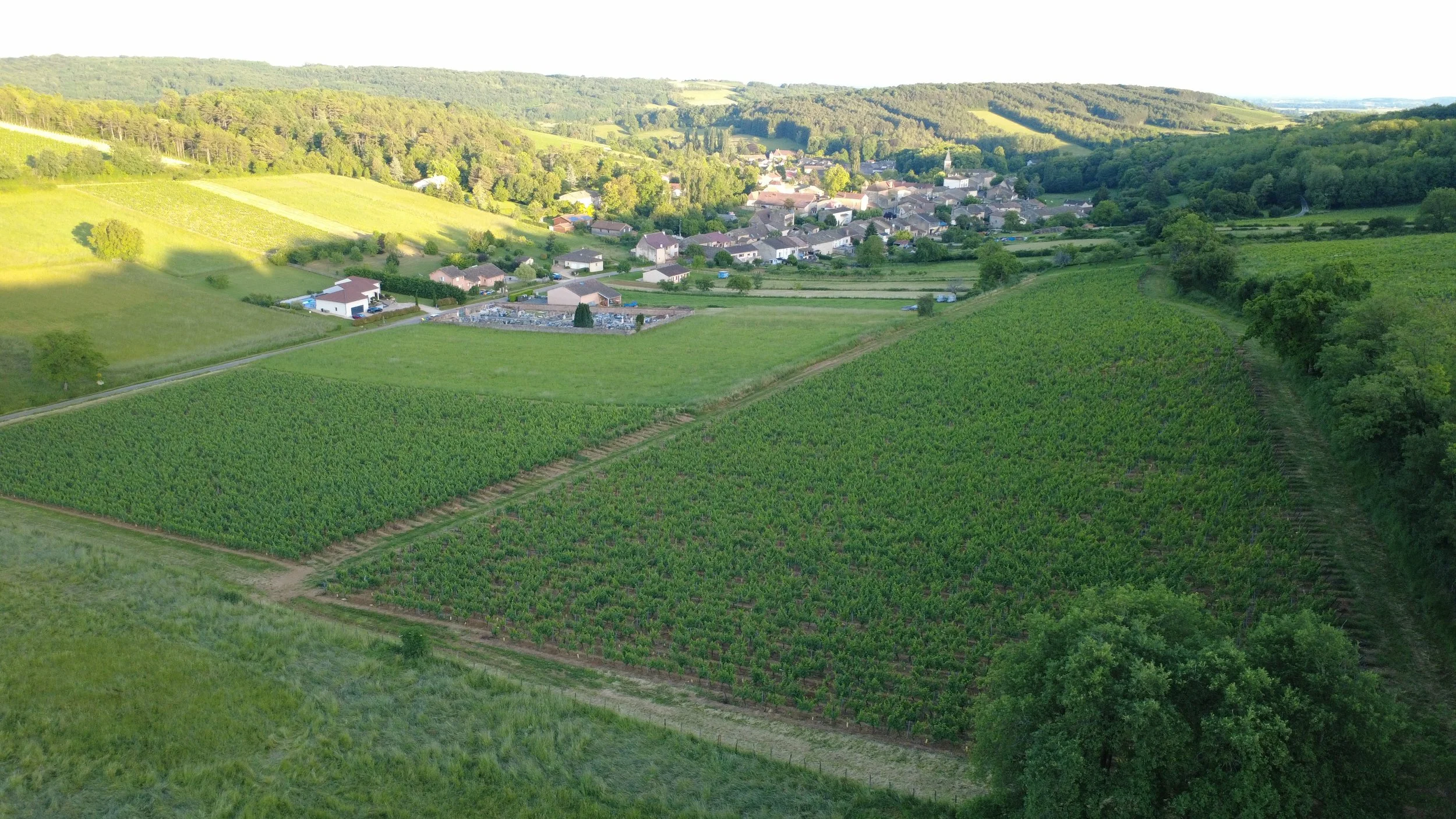 DJI_0218.JPG