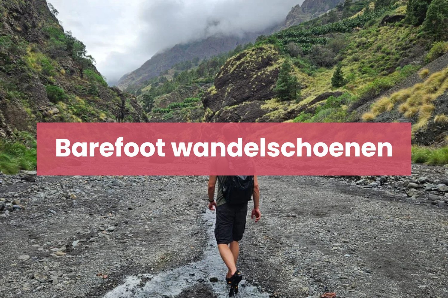 De 20 beste barefoot wandelschoenen