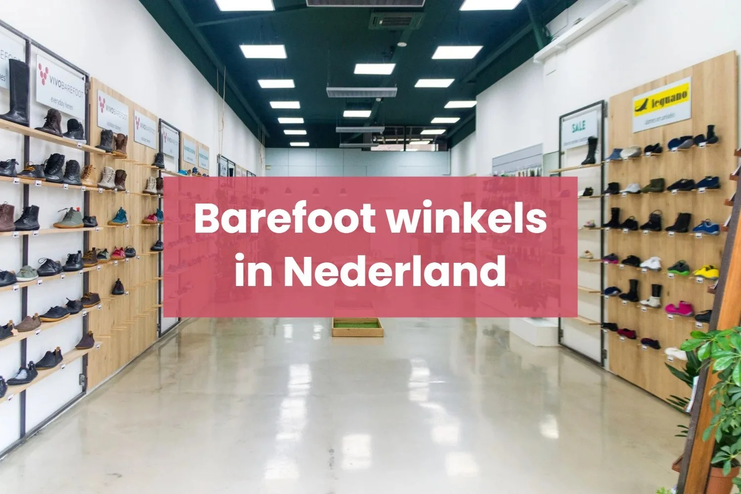 Alle Barefoot Schoenen Winkels in Nederland