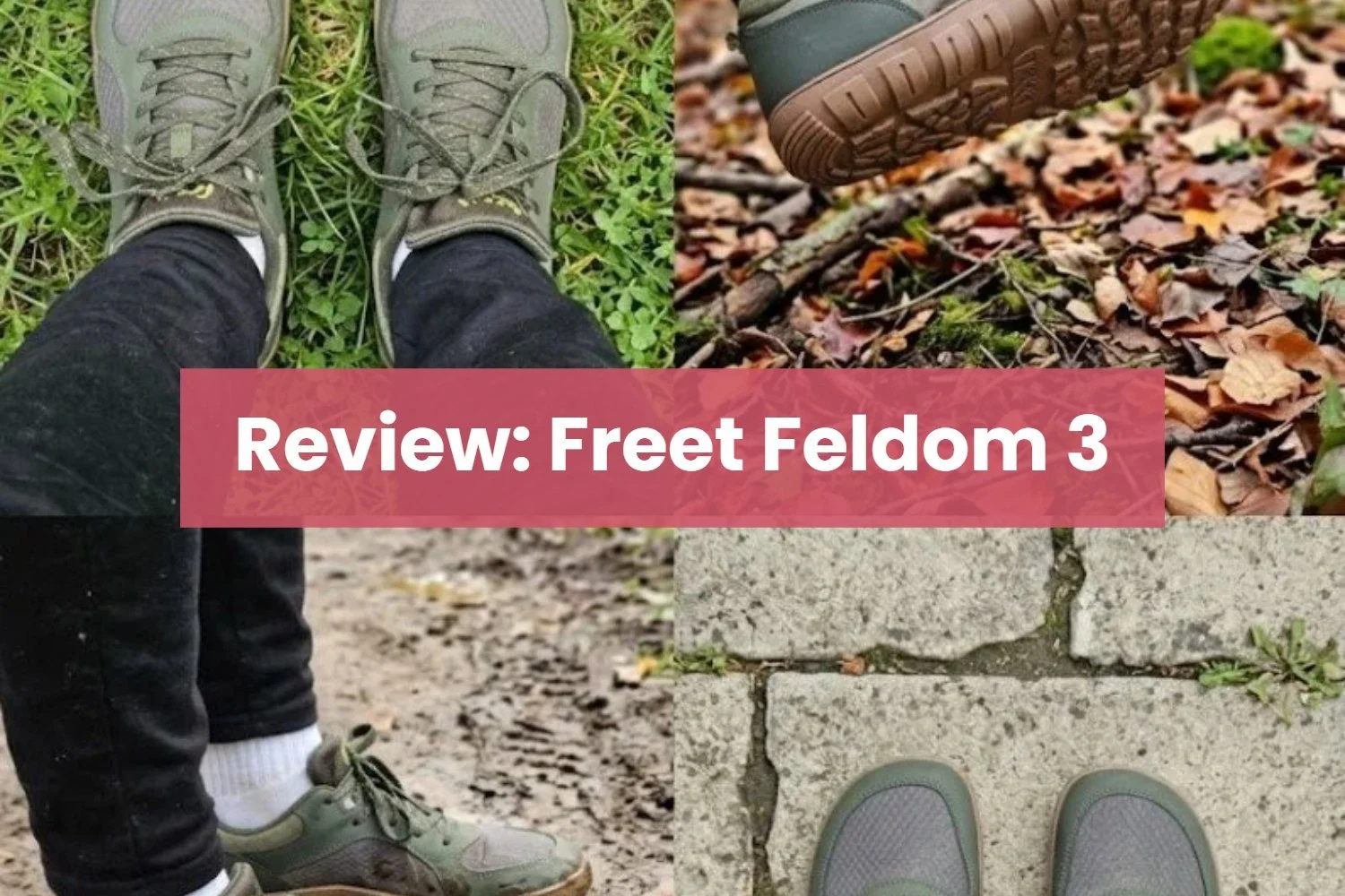 Review: Freet Feldom 3