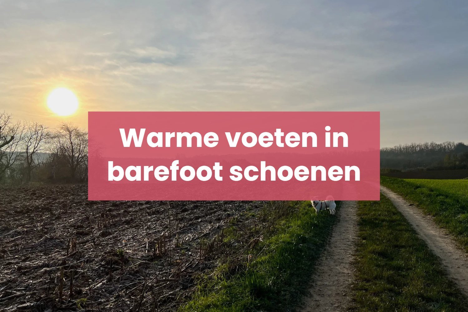 5 tips voor warme voeten in jouw barefoot schoenen
